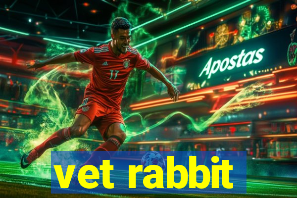 vet rabbit